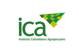 Ica