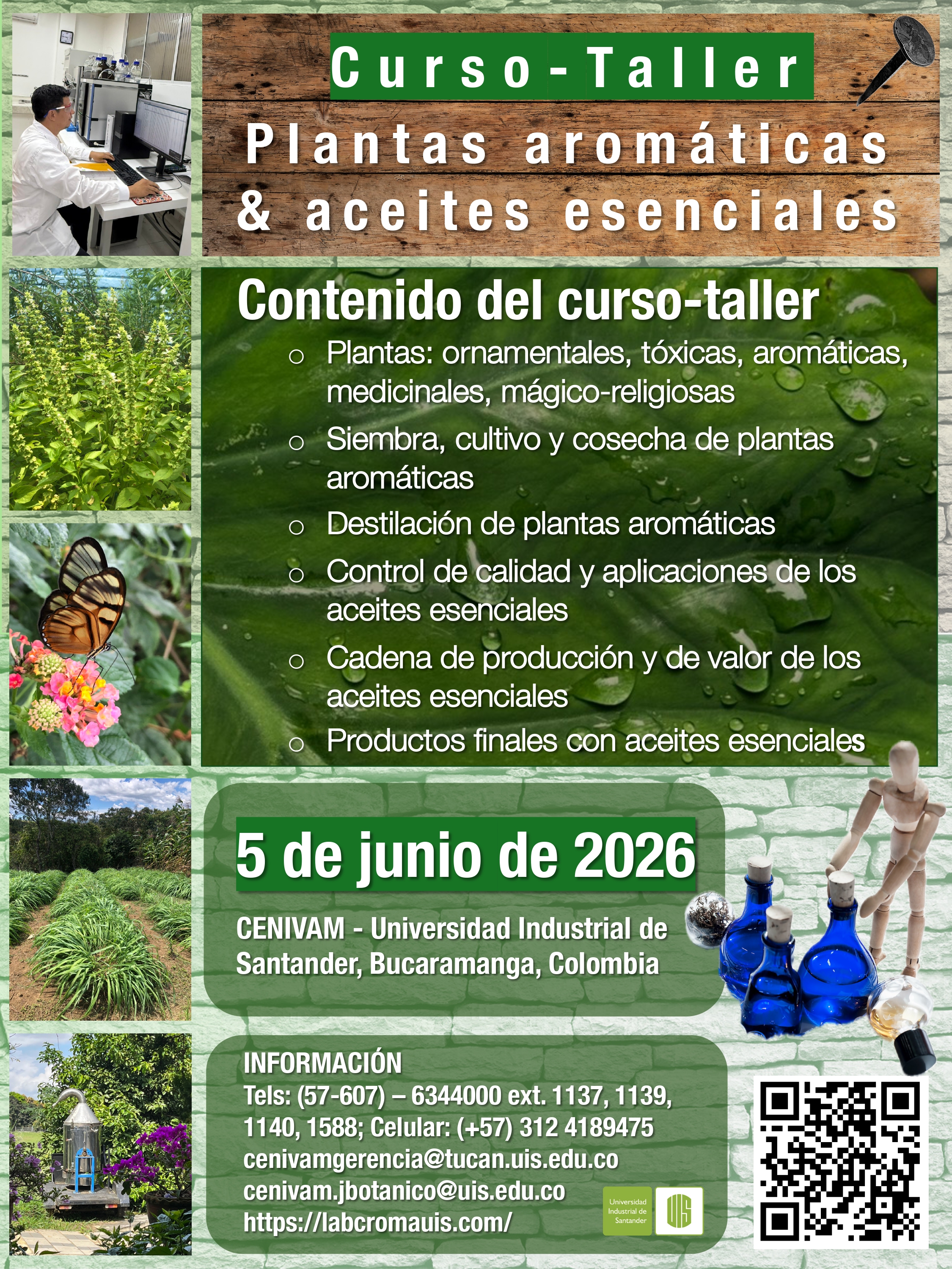 CURSO - TALLER “PLANTAS AROMÁTICAS & ACEITES ESENCIALES” (PRÓXIMA FECHA: 5 DE JUNIO 2026)