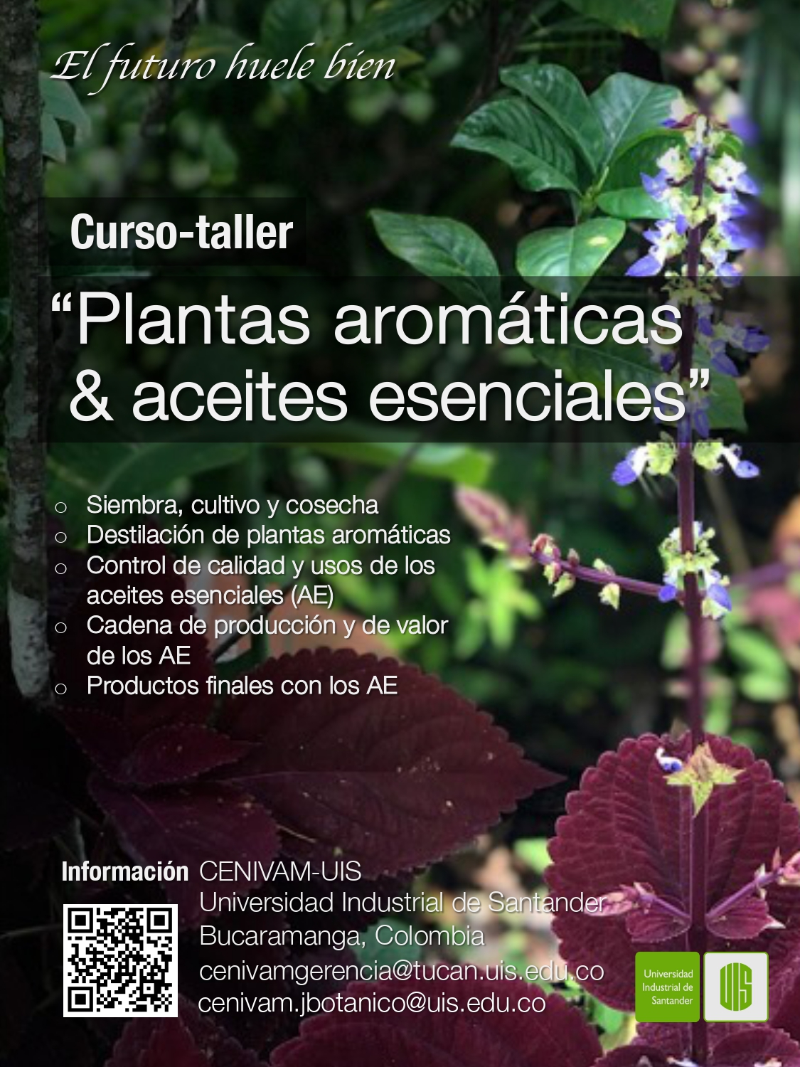 CURSO - TALLER “PLANTAS AROMÁTICAS & ACEITES ESENCIALES” (PRÓXIMA FECHA: 22 DE ABRIL 2026)