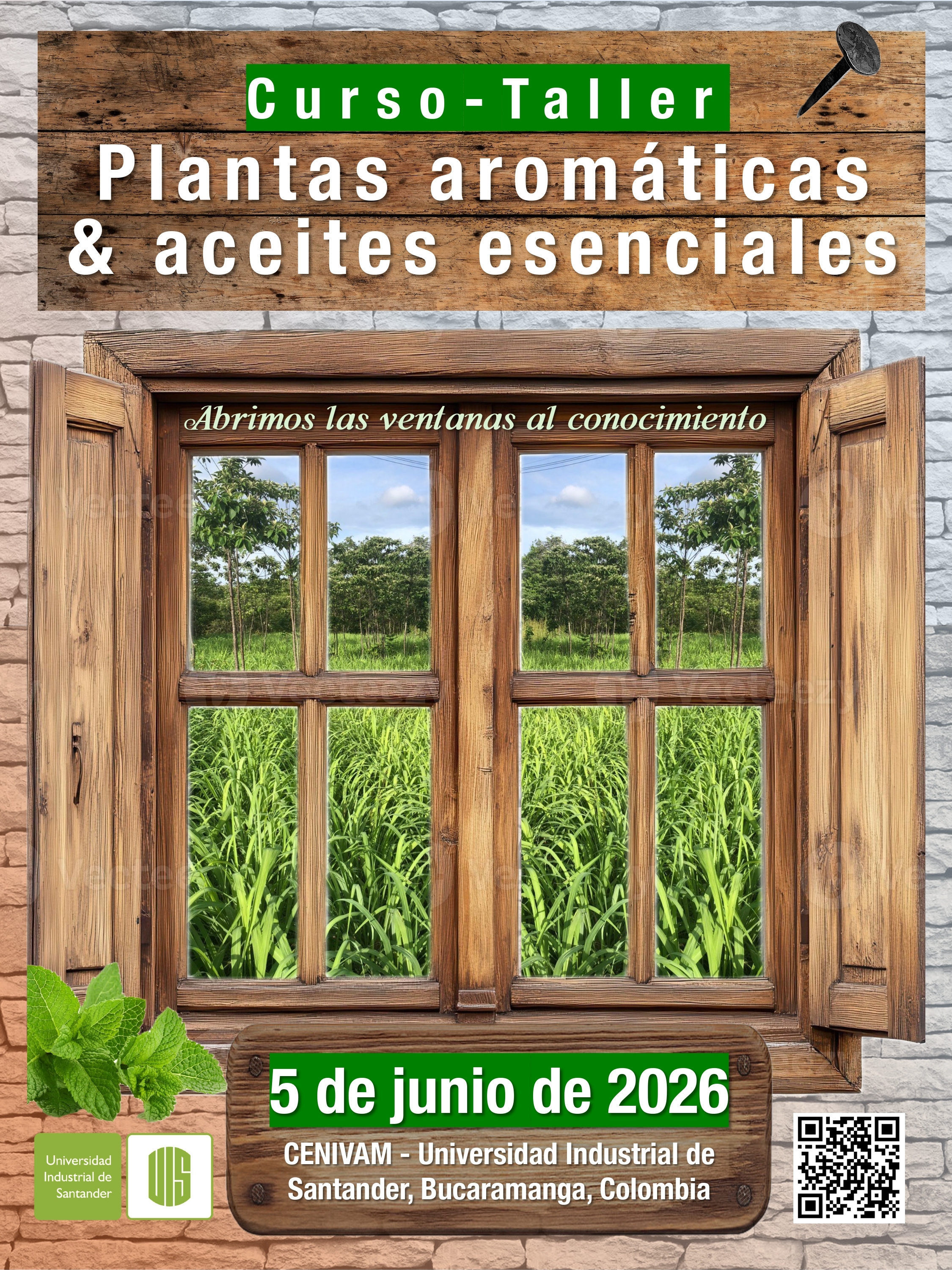 CURSO - TALLER “PLANTAS AROMÁTICAS & ACEITES ESENCIALES” (PRÓXIMA FECHA: 5 DE JUNIO 2026)